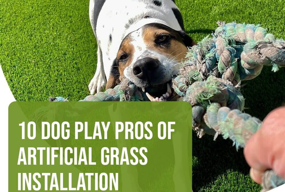 10 Dog Play Pros of Artificial Grass Installation-Sunburst 1