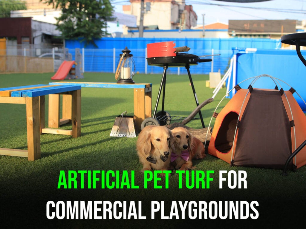 Artificial-Pet-Turf-for-Commercial-Playgrounds-sunburst2