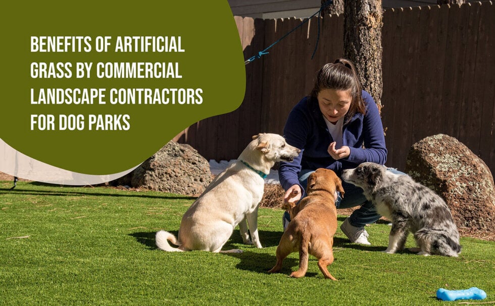 Benefits-of-Artificial-Grass-by-Commercial-Landscape-Contractors-Near-Me-for-Dog-Parks-sunburst-ONA2-980x607