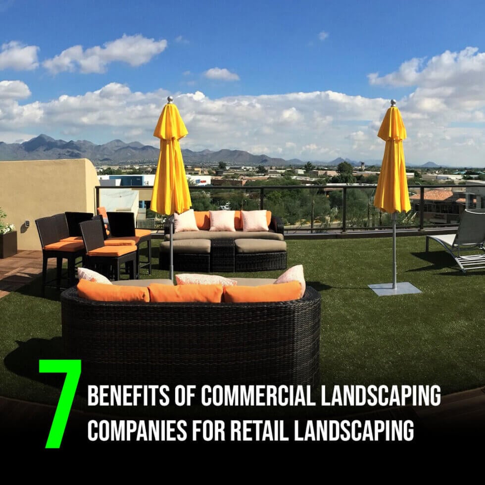 Boost-Your-Business-with-Commercial-Landscaping-Companies-Near-Me-980x980